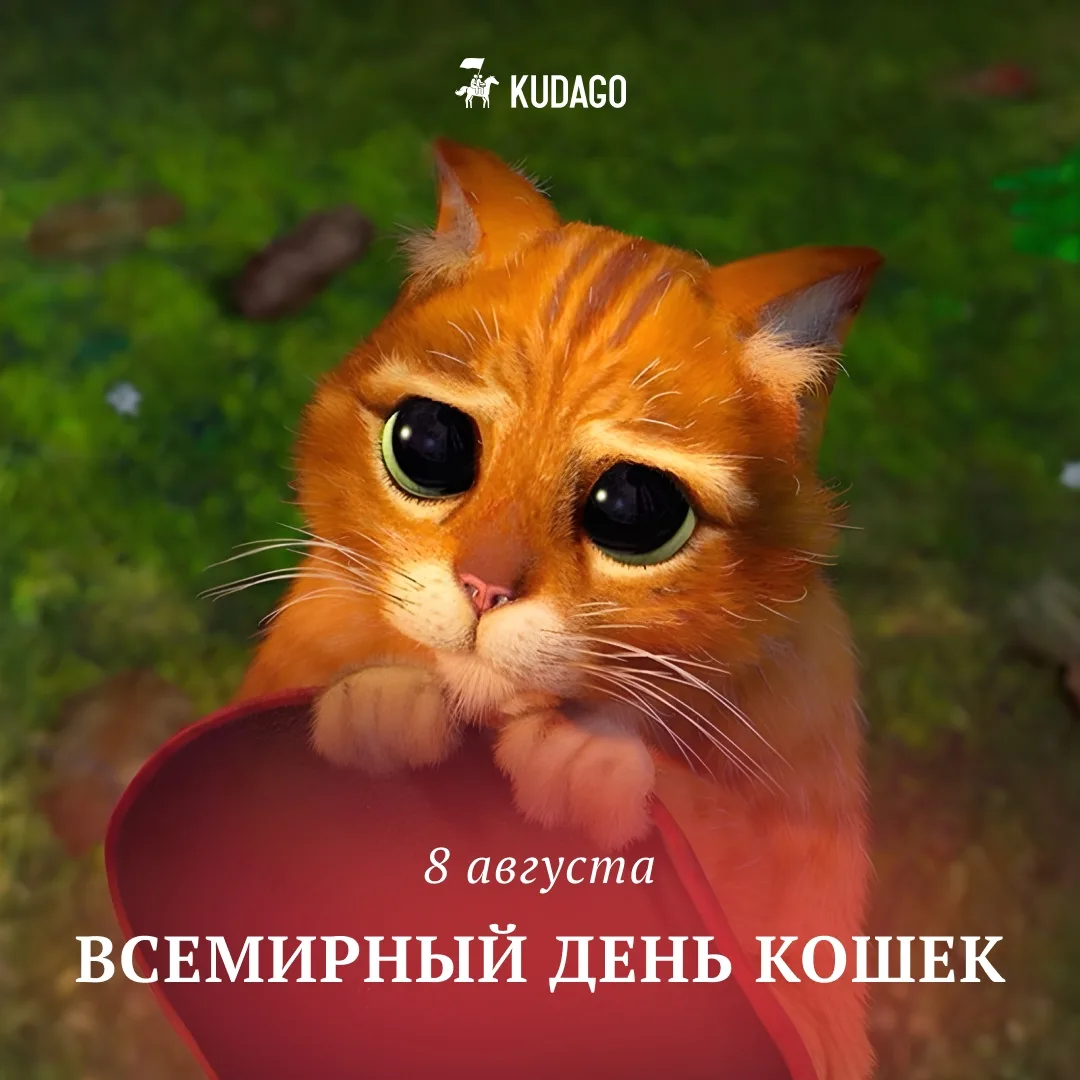 Сегодня — Всемирный день кошек 🐈
