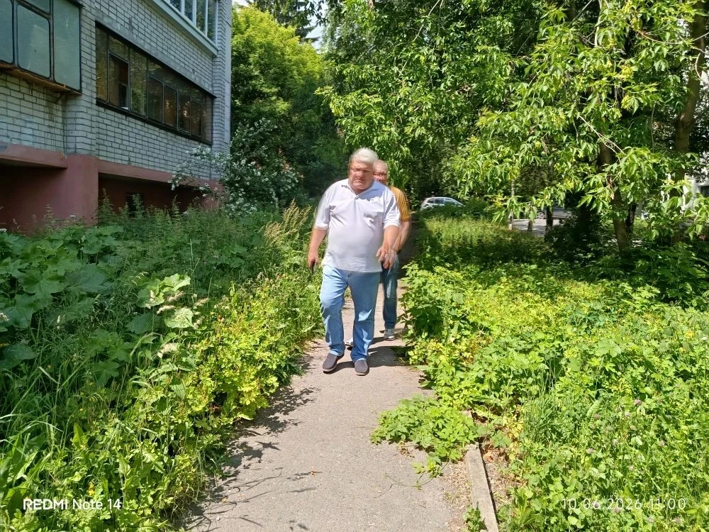 Улица Толстого, д. 1 (придомовая  территория).