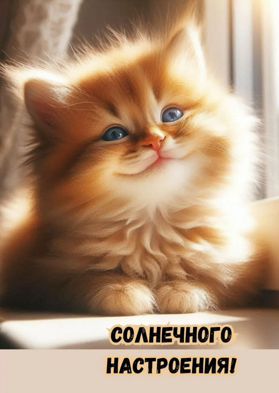 Доброго дня!☀️👍