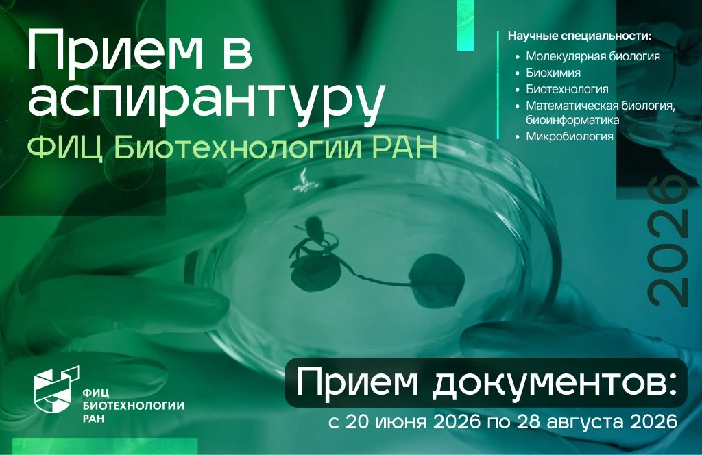 Прием в аспирантуру ФИЦ Биотехнологии РАН
 
Завтра, 20 июня 2026 года, открывается прием документов 