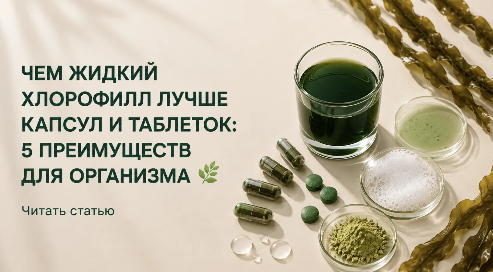 Чем жидкий хлорофилл лучше капсул и таблеток: 5 преимуществ для организма 🌿
