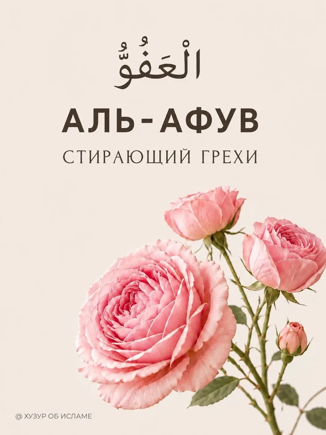 Имя Аллаха, которые нужно произносить, когда просишь прощения 🤲🏻

Пророк ﷺ сказал: 
«Все сыны Адам