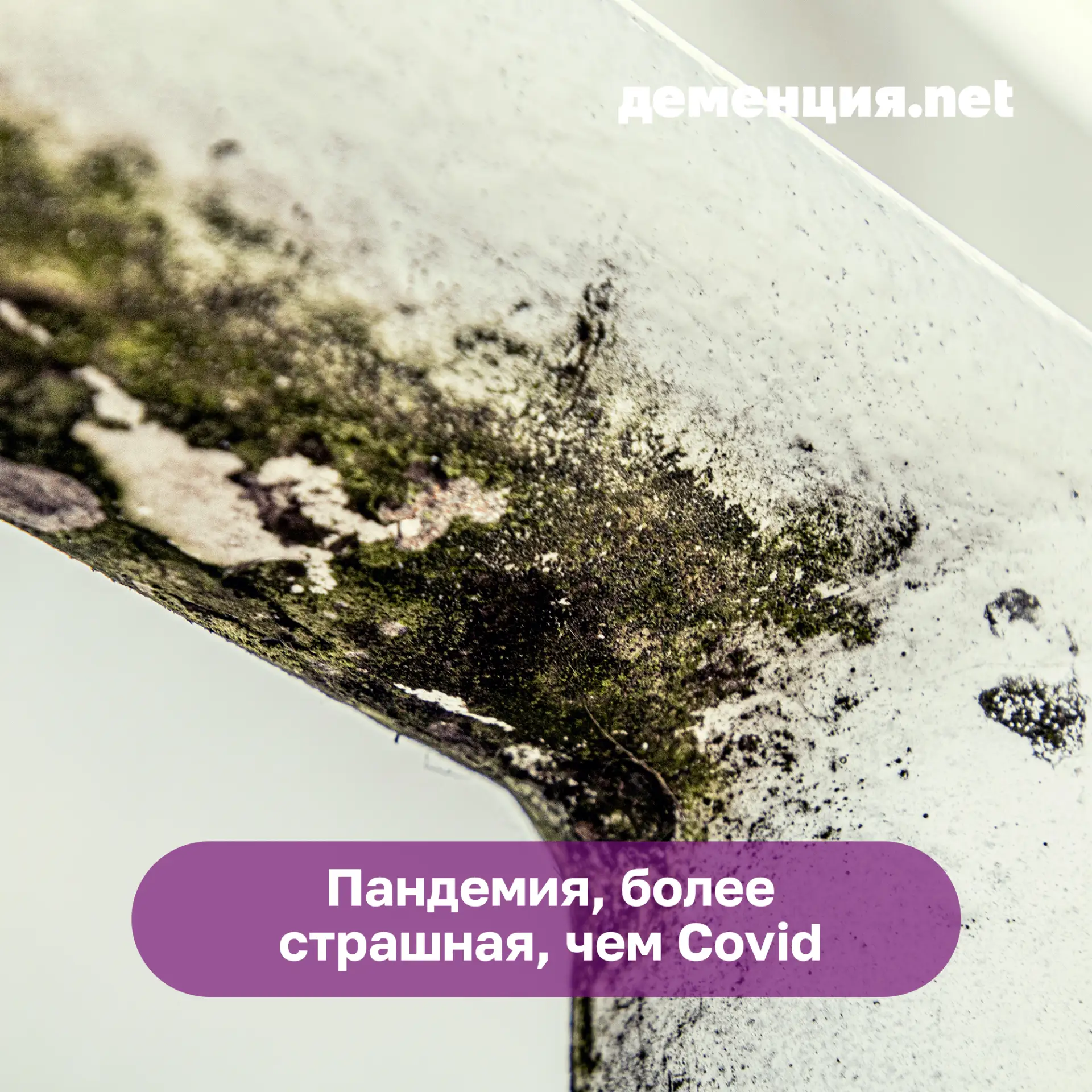 А что если мы вам скажем, что в мире есть угроза такой пандемии, что Covid-19 покажется легкой прогу