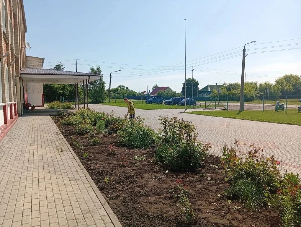 🌳 **Финишная прямая! 🏁**