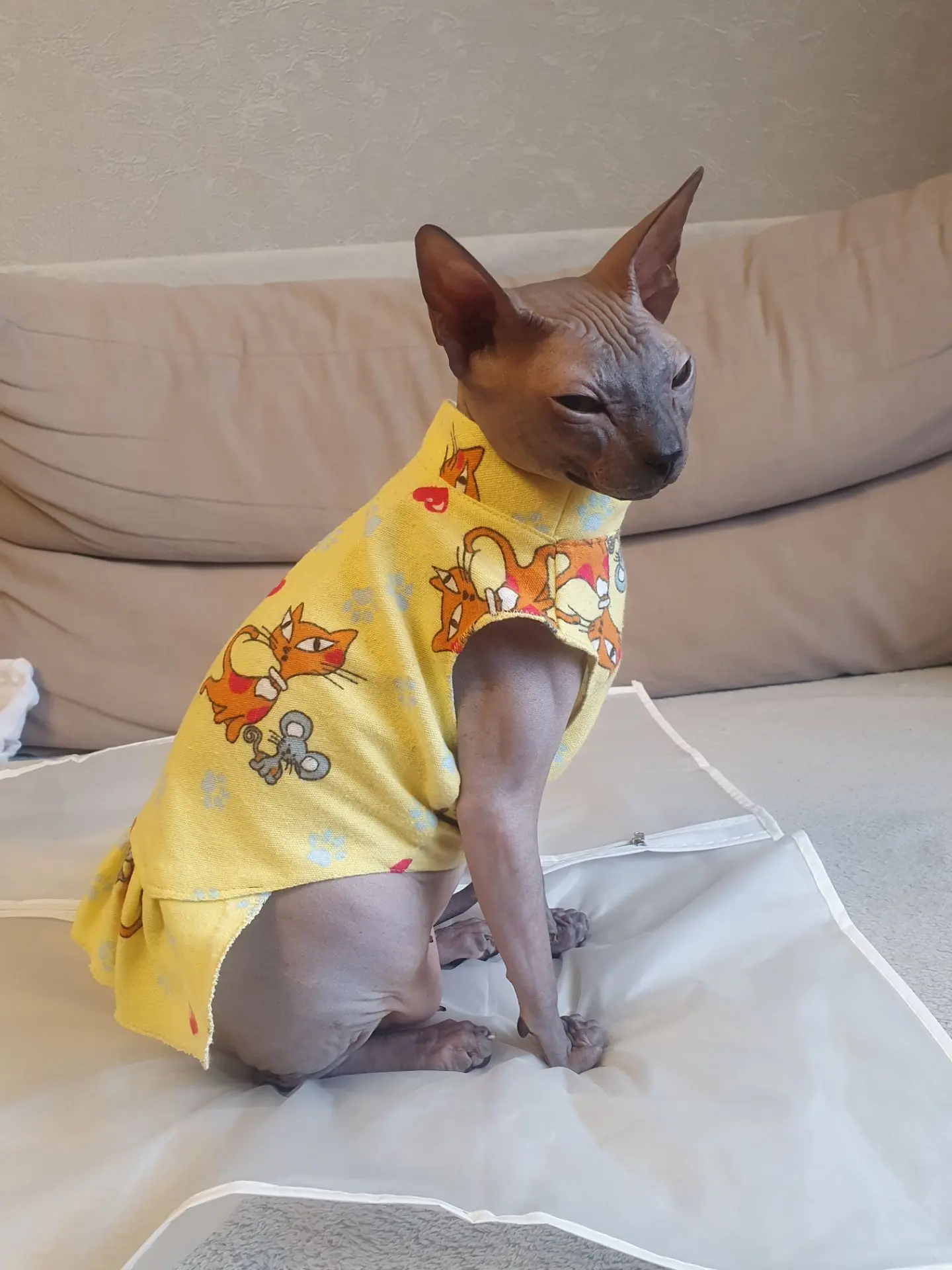 А вот наш недавний наряд)
