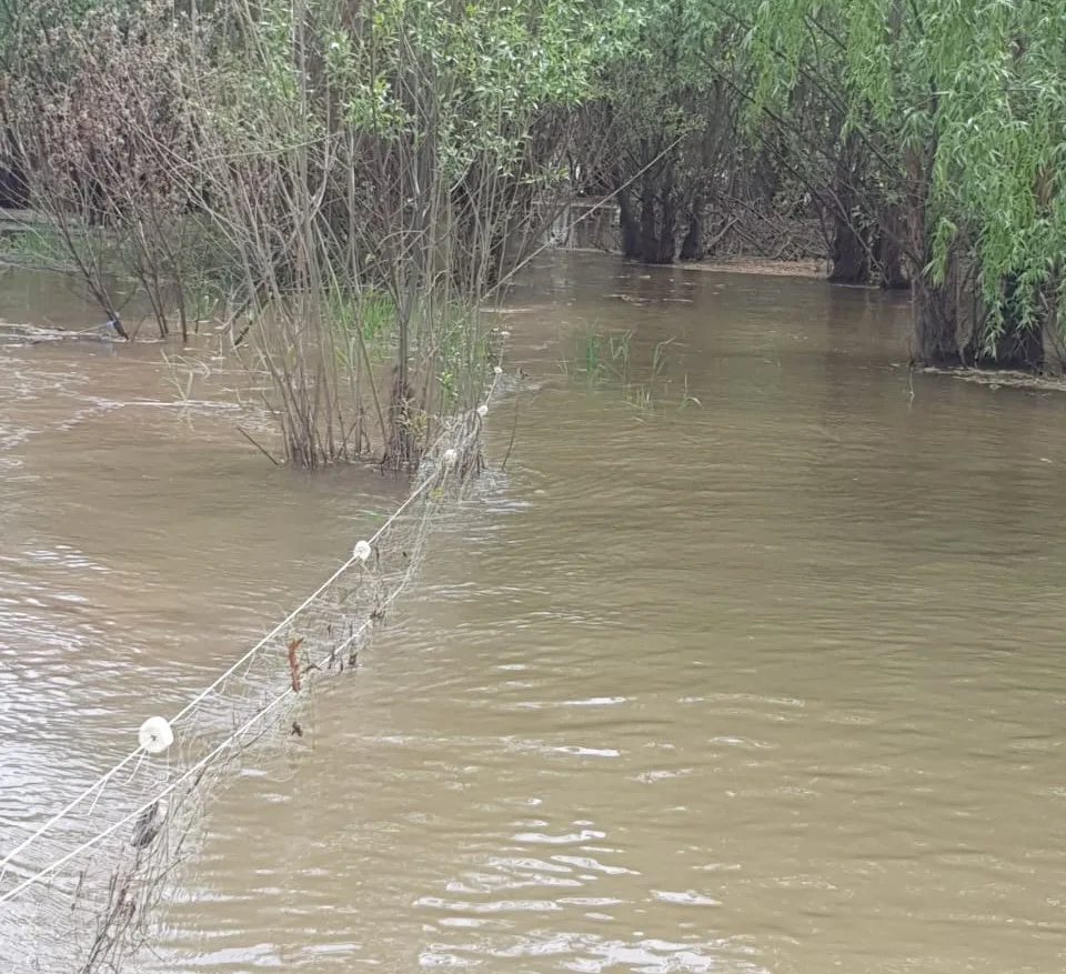 Сводка рыбоохраны с 24.08.2026 года по 31.08.2026 года https://vktu.fish.gov.ru/press/s...