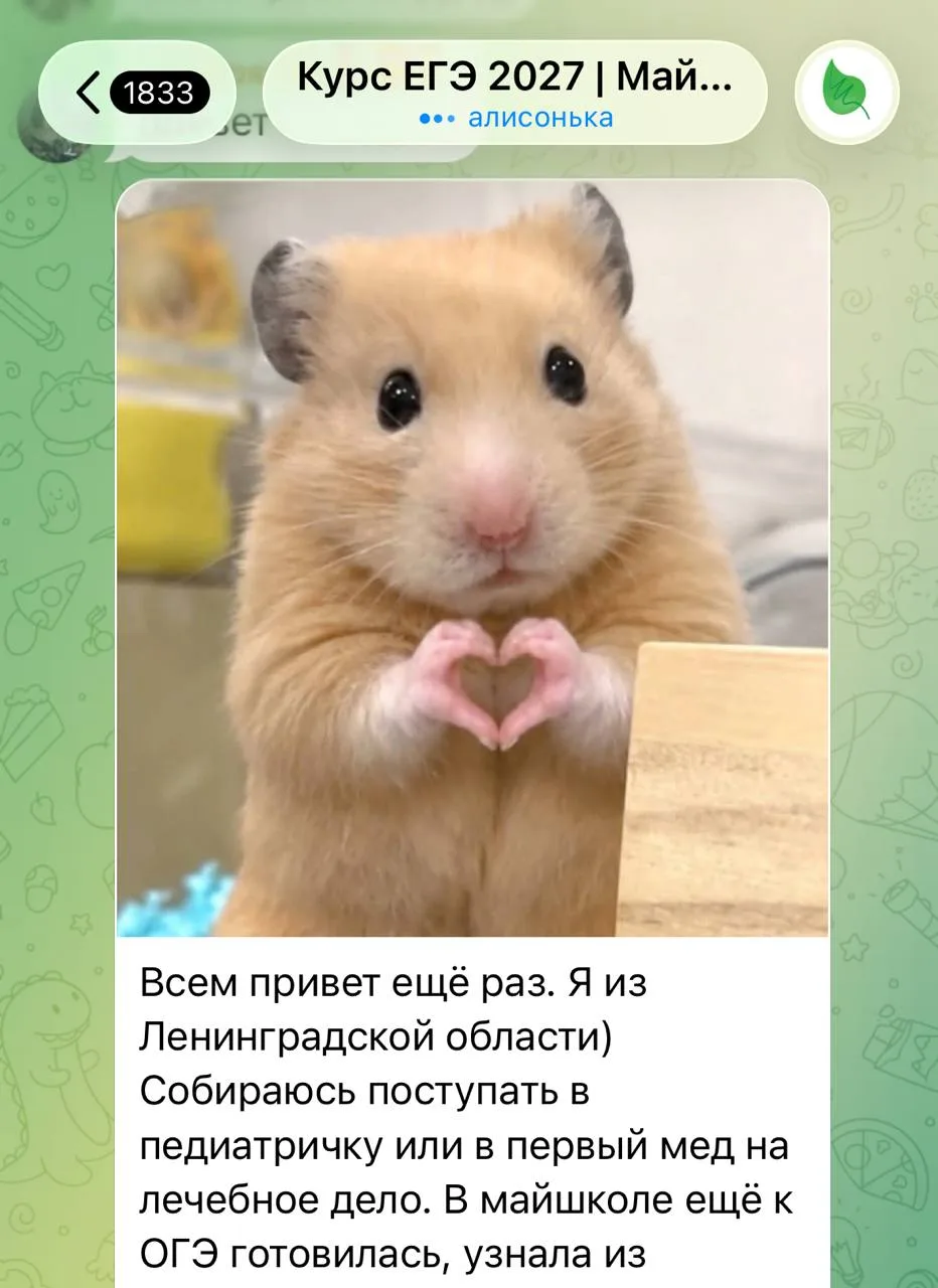 Ученики начали добавляться в чат годового! Уже во всю знакомимся и общаемся!
