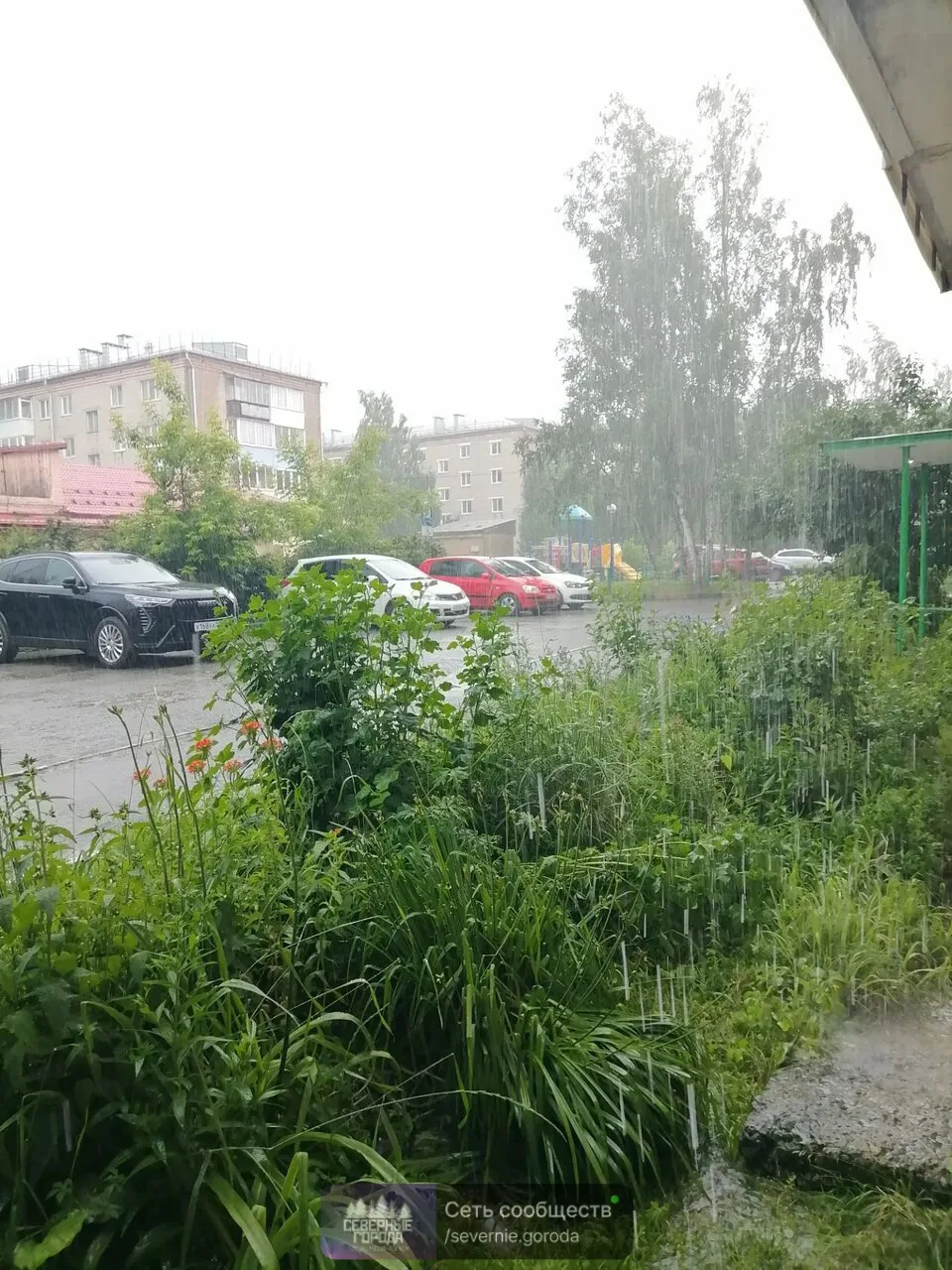 Вчера в Невьянском районе прошёл сильный дождь с грозой. Но в деревне Пьянково — это был не простой 