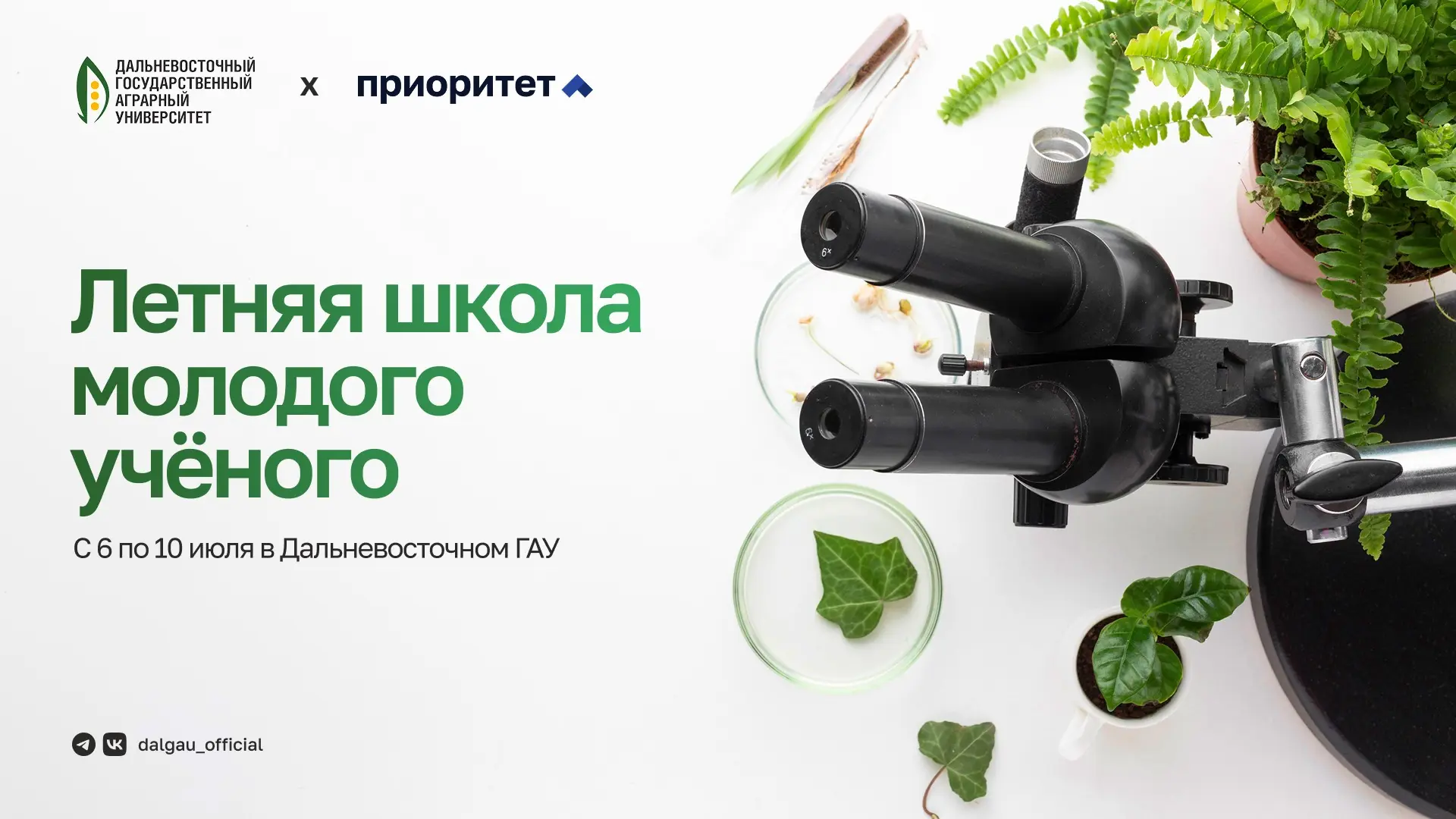 🪴 Летняя школа молодого учёного «Защита растений» пройдёт в Дальневосточном ГАУ

С 6 по 10 июля в Д