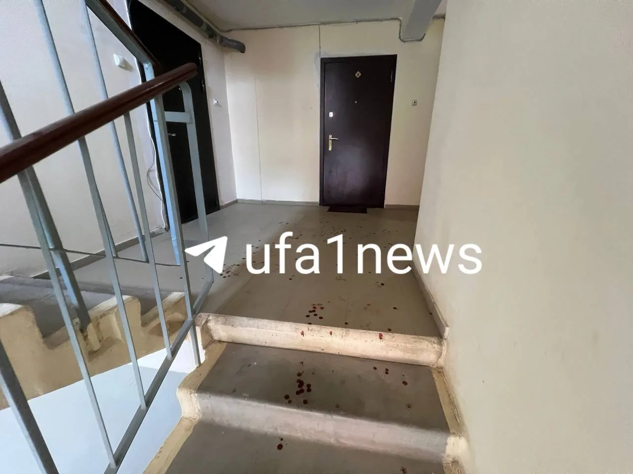 🔪 В Уфе девочка с ножом напала на двух сестёр — они в реанимации