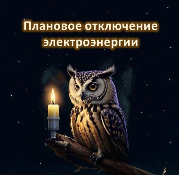Плановые отключения электроэнергии в Дебёсском районе на 31.07.2026 г.:
с 09:00 до 16:00
с. Дебёсы; 