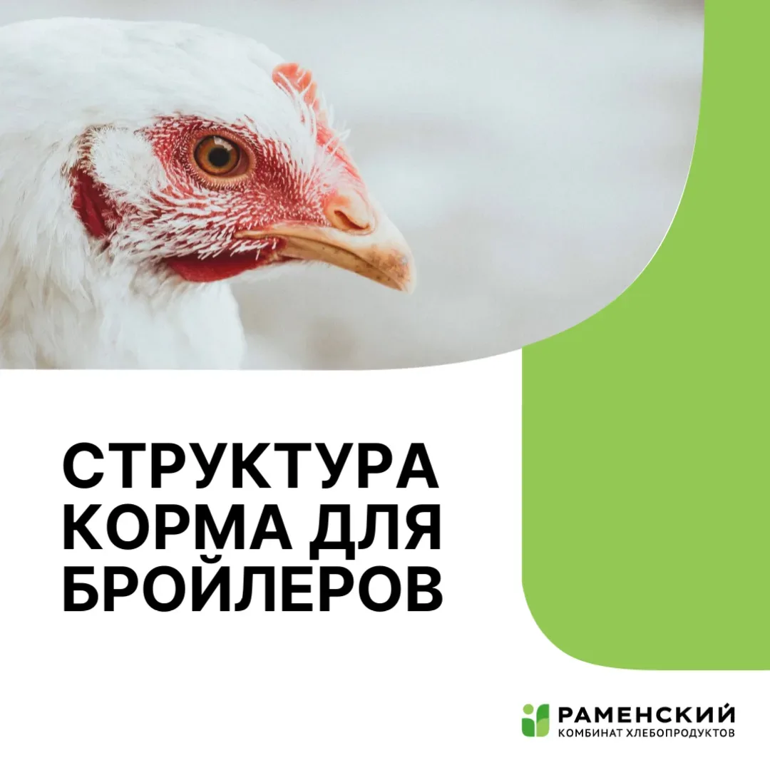 Как выбрать комбикорм для бройлеров? Посмотреть на структуру корма!