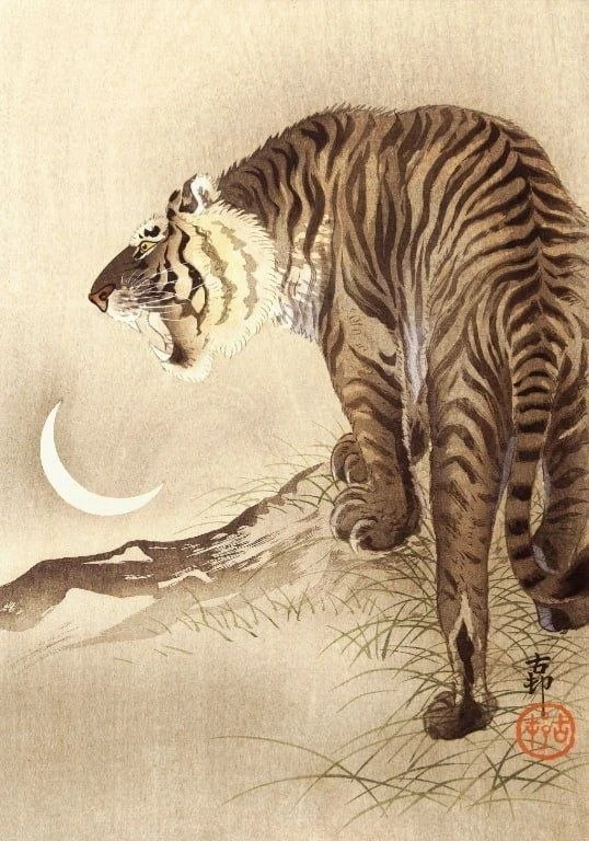 Тигр и полумесяц. 
Художник Охара Косон.
1910-е года, Япония.

Охара Косон – японский художник конца