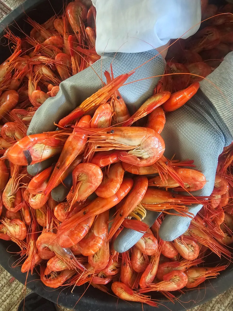 🥕 Продукты · Корсаков