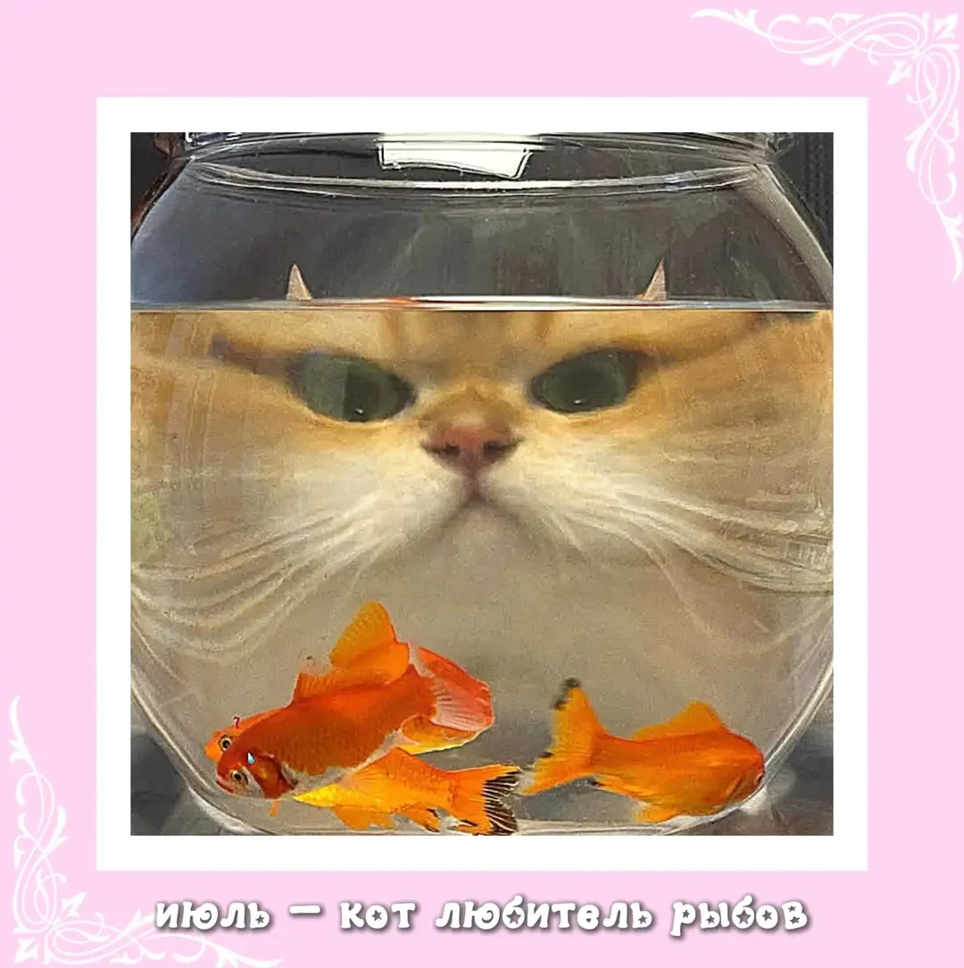 Авы какой ты котик по месяцу Рождения, часть 2