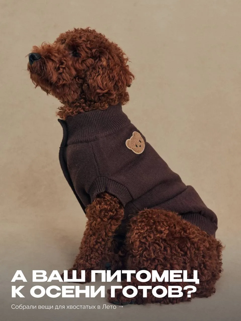 А про хвостатого члена семьи не забыли? 🐶🐈