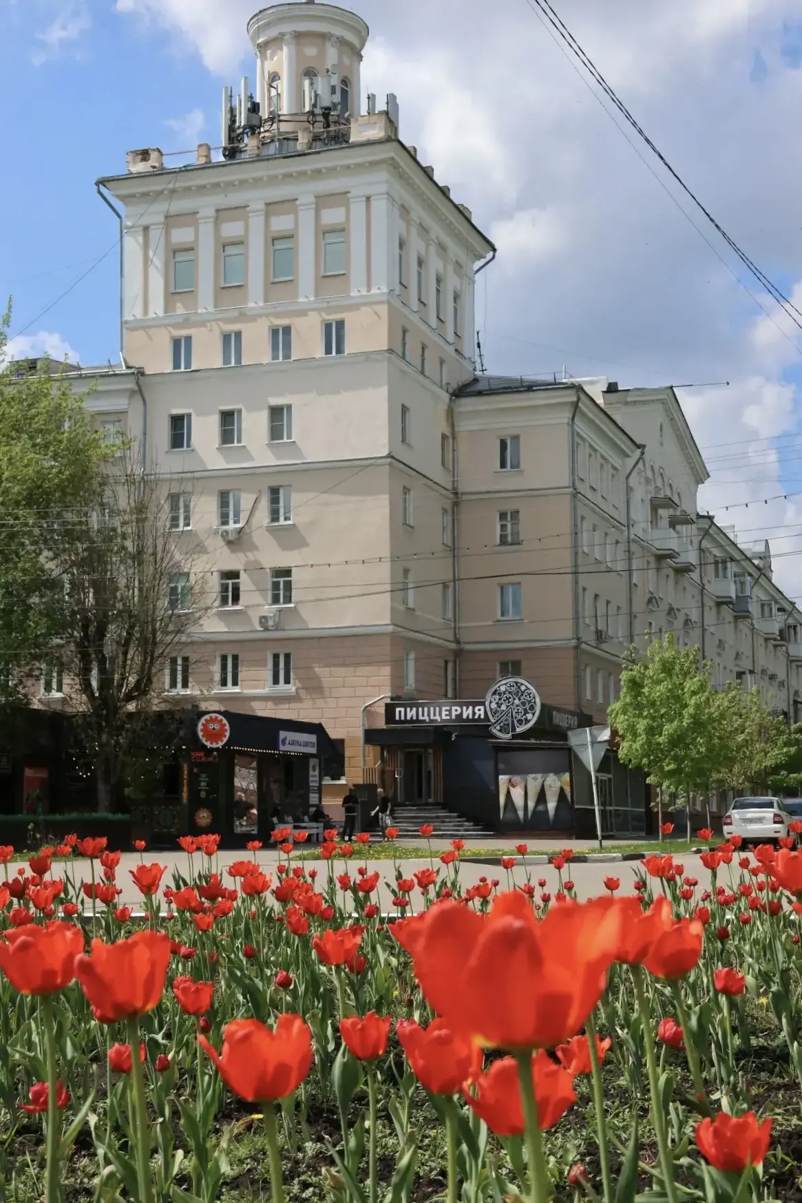 Новомосковск расцветает 😍  Тепло вернулось, а вместе с ним — вдохновение на прогулки. Успейте наслад