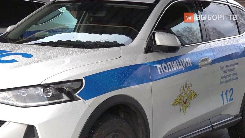 Вор-рецидивист задержан в Выборге за нападение на несовершеннолетнюю девочку

17 июля днем в УМВД по