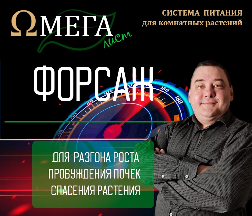 🚀 А вот и сюрприз! Встречайте новую Омегу Форсаж — ускоритель роста!