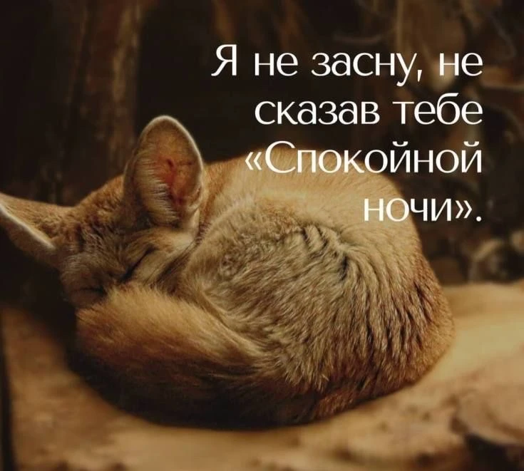 Понравилась открытка? Оставьте реакции ❤️
