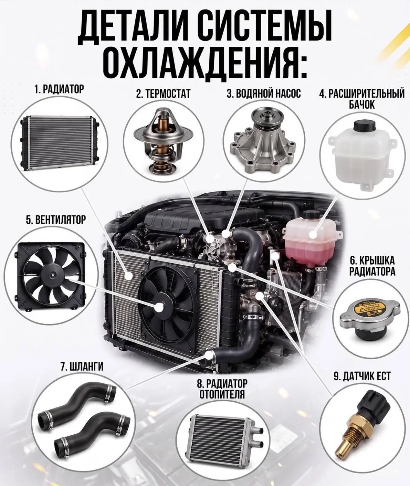 Показываем детали системы охлаждения двигателя..