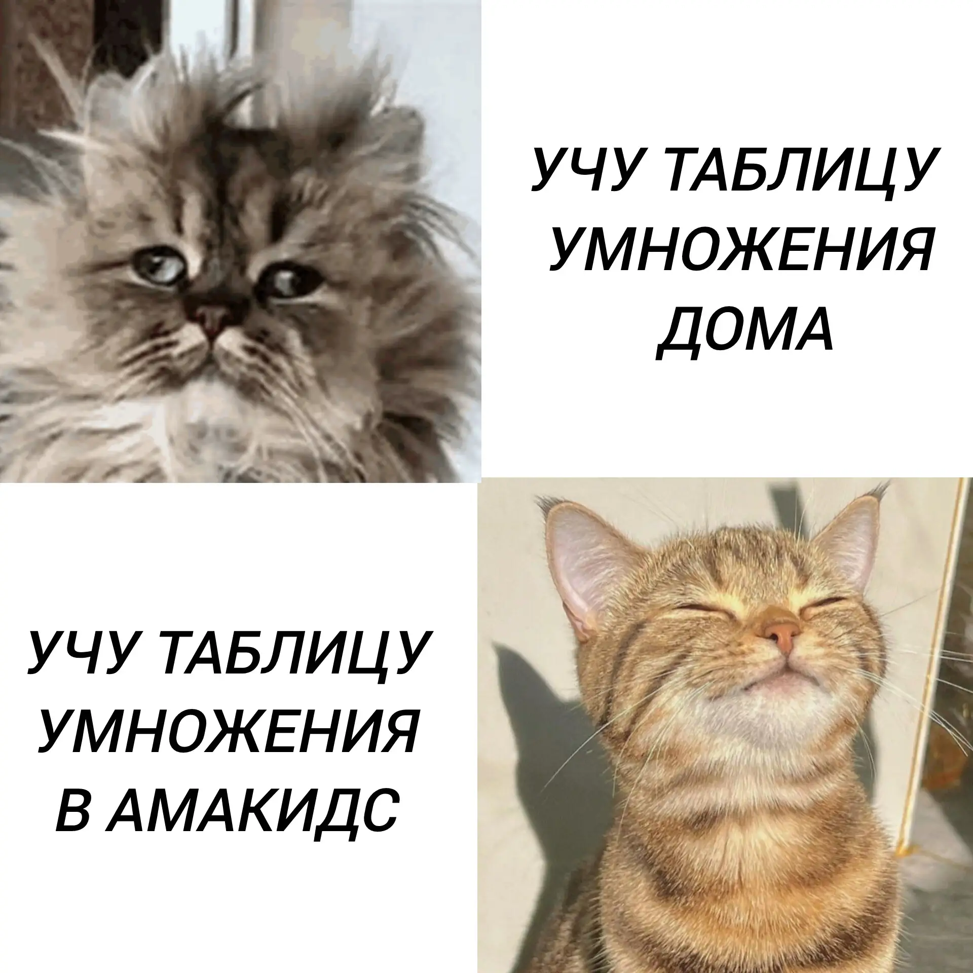 Устали от вечеров с таблицей умножения? Когда "зубрим-зубрим", а в голове каша?
