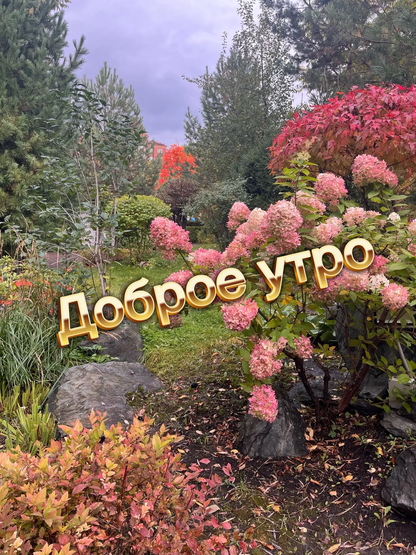 Доброе утро!