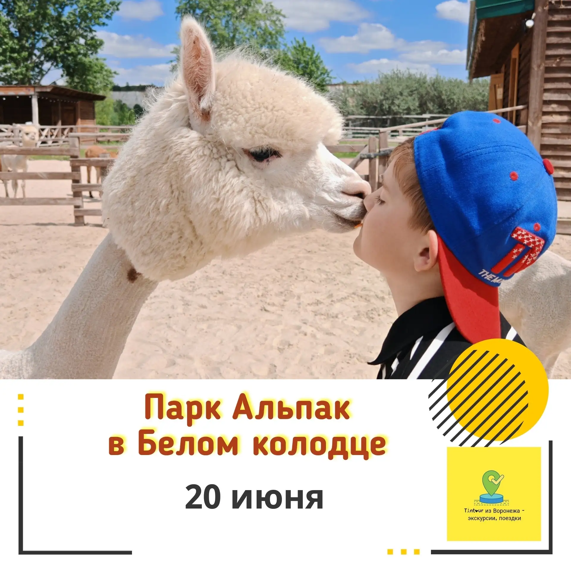 ОСТАЛОСЬ НЕМНОГО МЕСТ в наши поездки на выходные дни! Успейте забронировать😉
🔥 ТОП ХИТ ЭТОГО ЛЕТА 