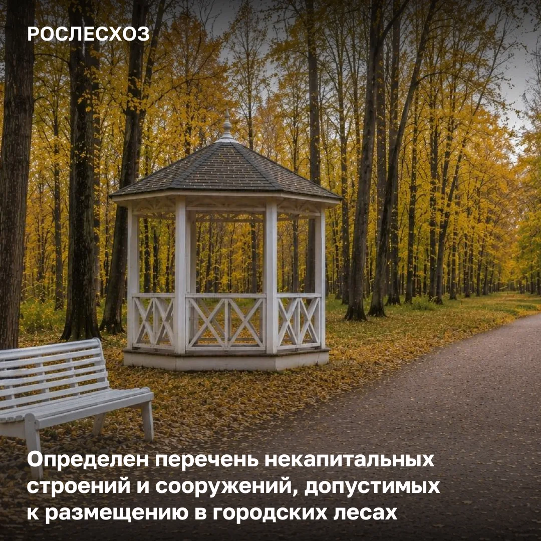 🟢 С 1 сентября 2026 года вступило в силу распоряжение Правительства России, в соответс...