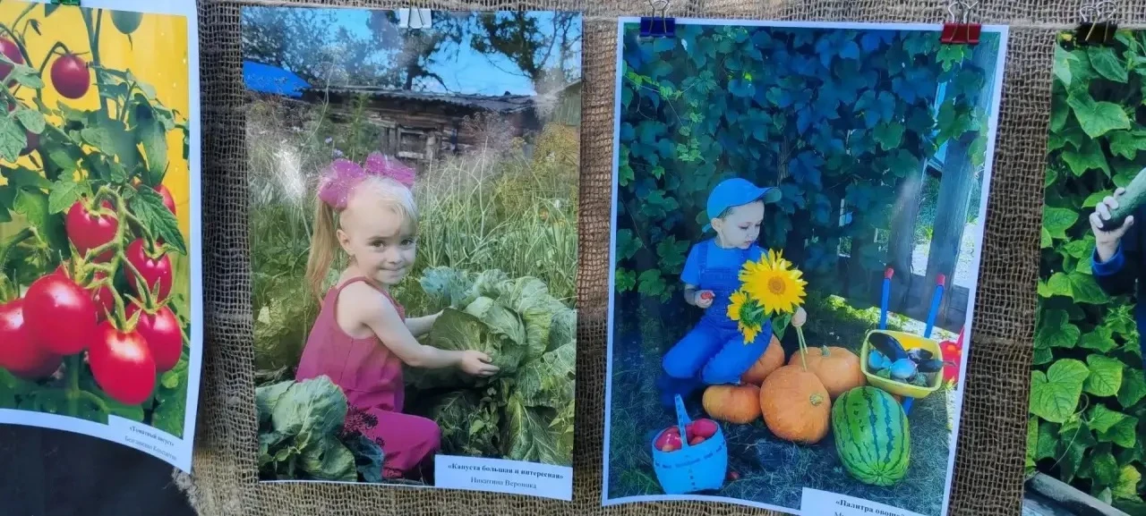 29 августа в городском парке культуры и отдыха была оформлена фотовыставка работ участн...