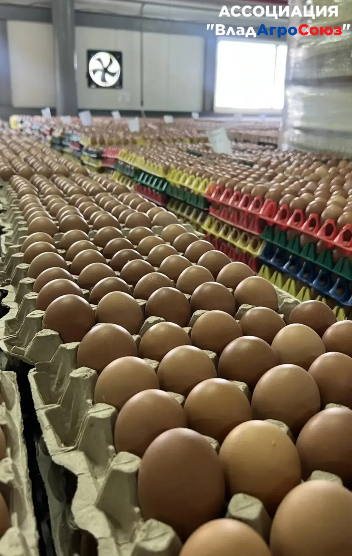 🥚 В гостях у Объединения «Владзернопродукт»

Очередной выезд Ассоциации - и сразу к одной из крупне