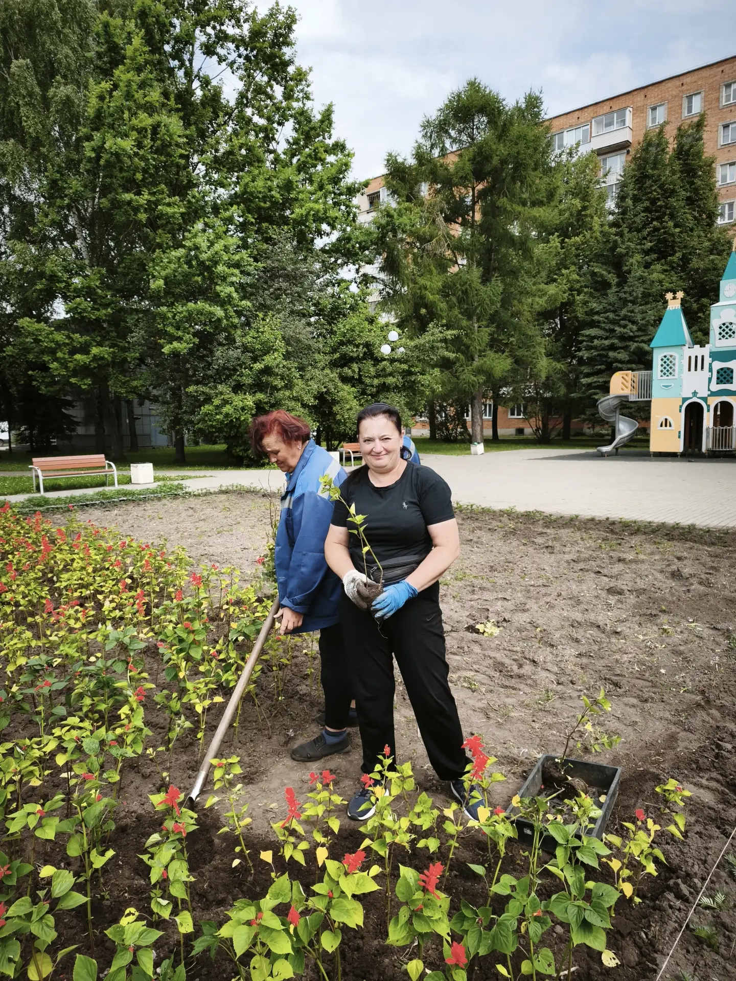 🌸В Великих Луках завершается высадка цветов на городских клумбах

Специалисты по озеленению города 