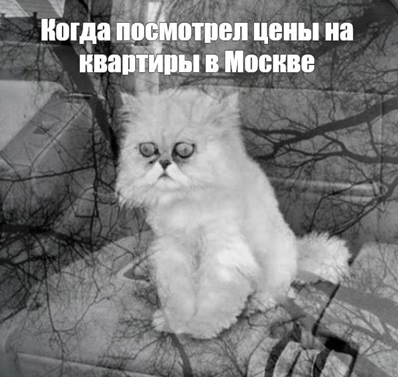 🏡 Мечты о жилье: почти 34% россиян регулярно просматривают квартиры, которые им не по карману

Согл