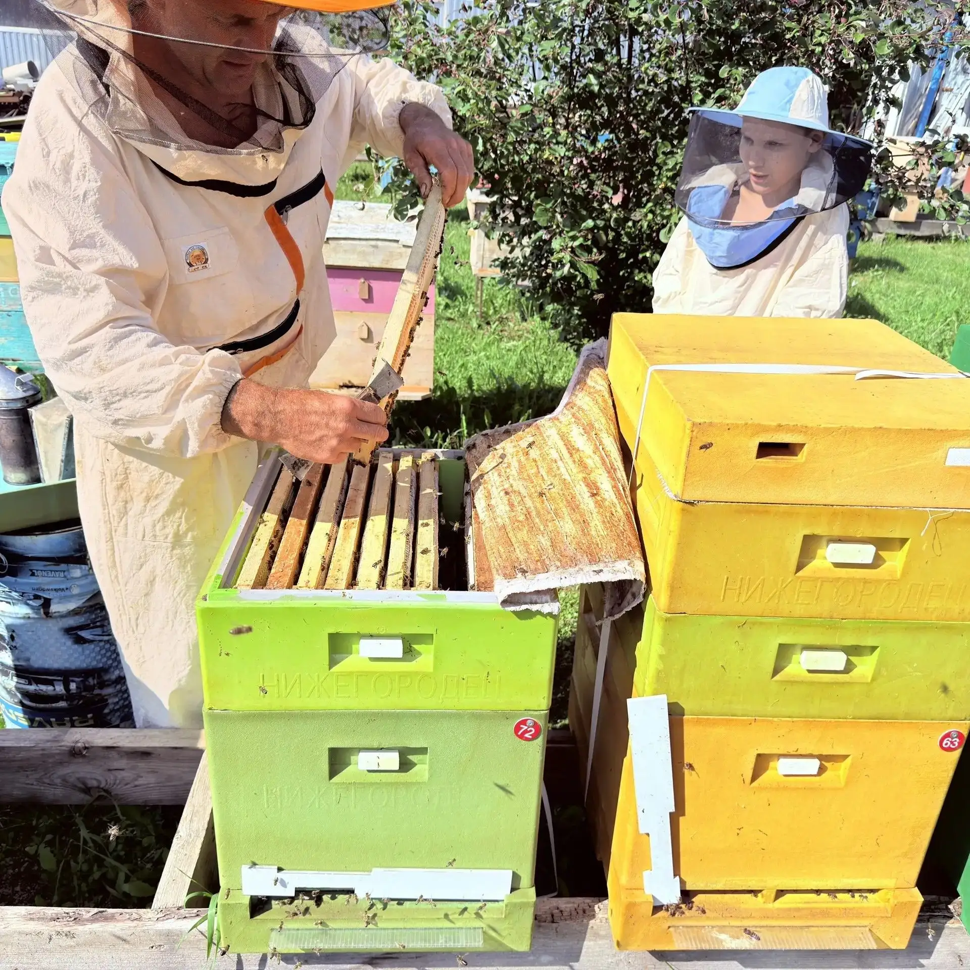 Правильные пчелы 🐝🐝

В конце 2025 года пчеловод из Кожевниковского района Константин Стародубцев с