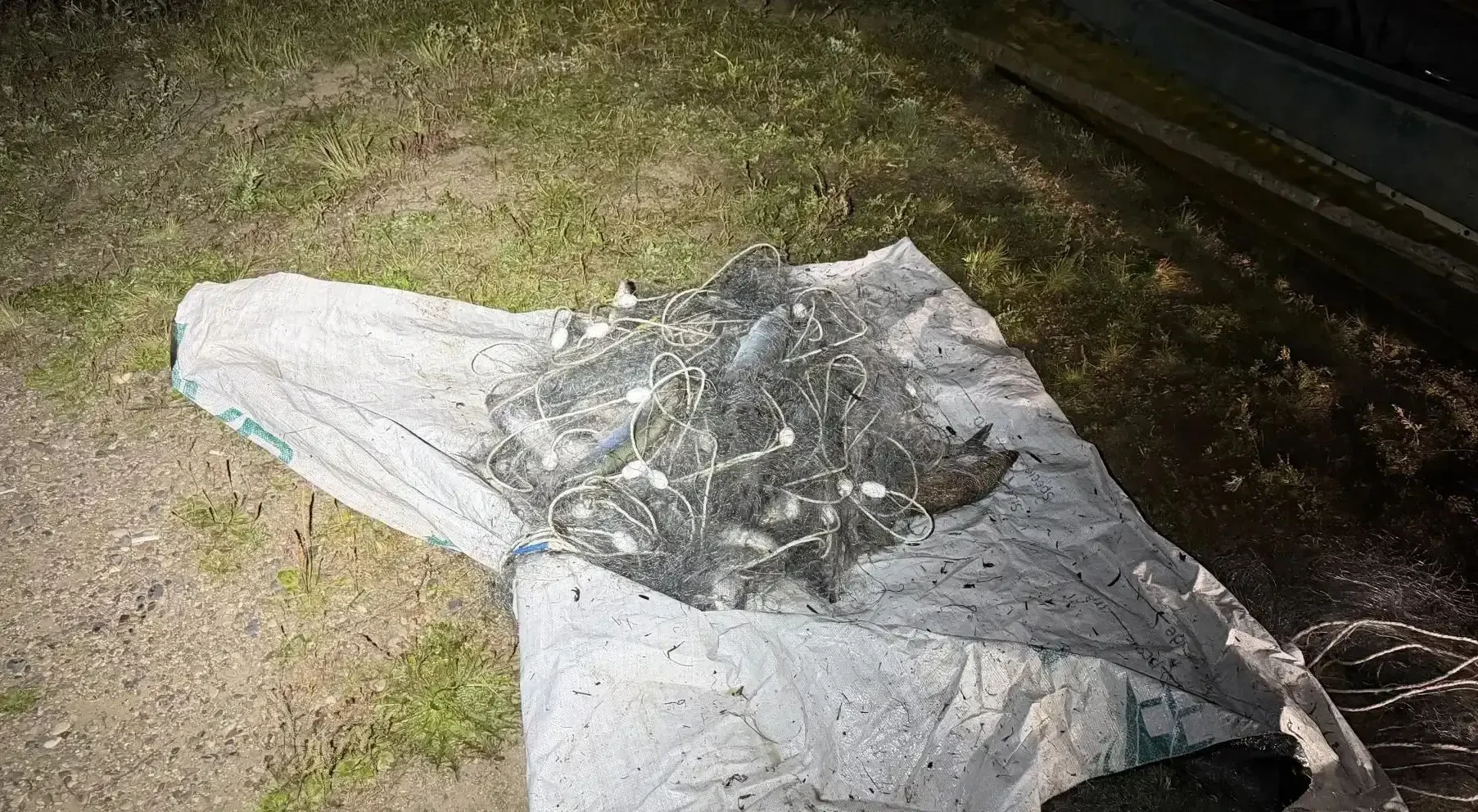 В Бурятии задержали пожилого браконьера, наловившего омуля на 400 тысяч рублей 🫣