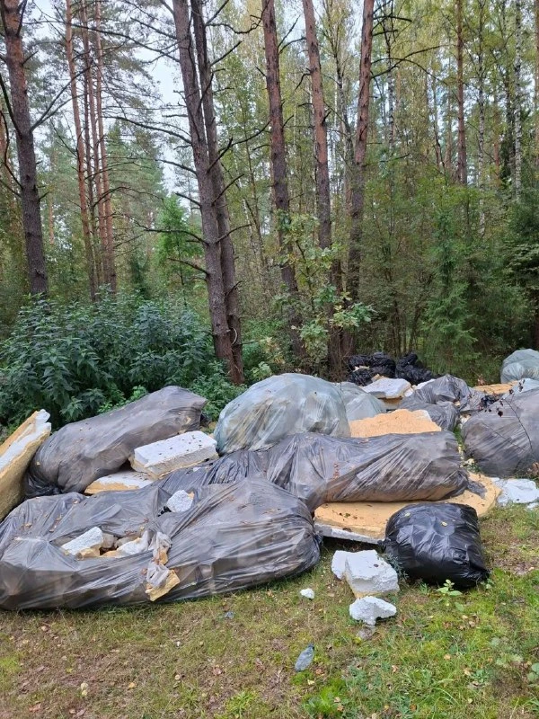 🌳 У Золинского озера в лесу обнаружили свалку утеплителя