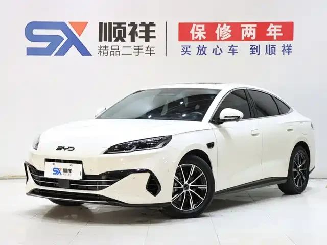 🚗 BYD 2025