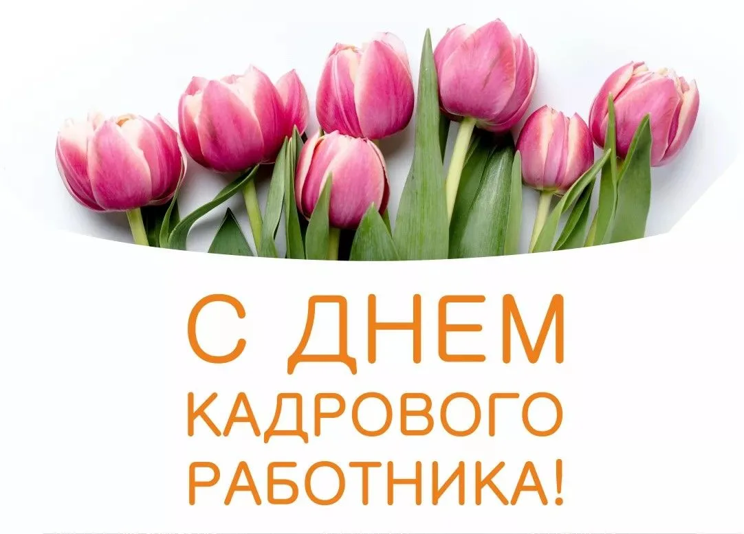 С профессиональным💐 праздником, дорогие коллеги-кадровики!