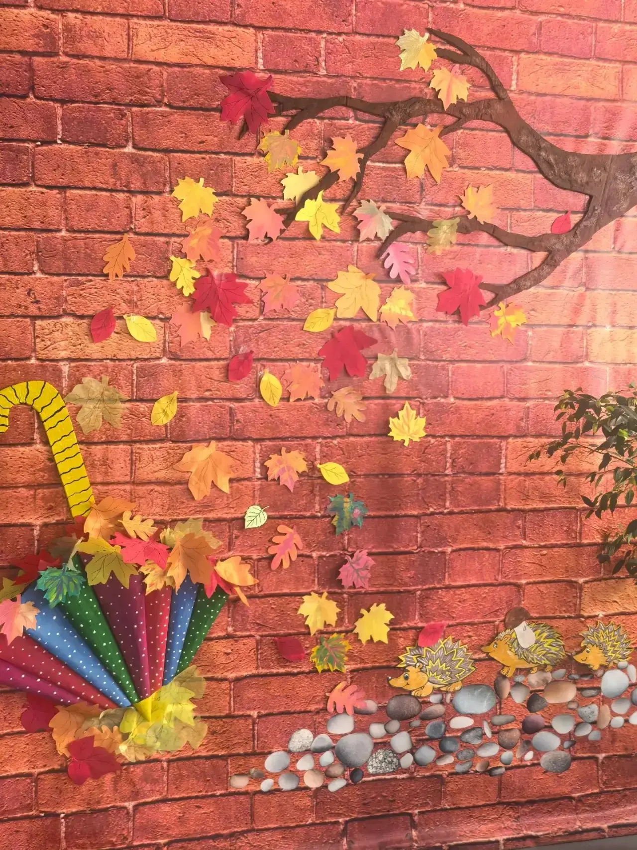 🍂 Осеннее настроение создано!