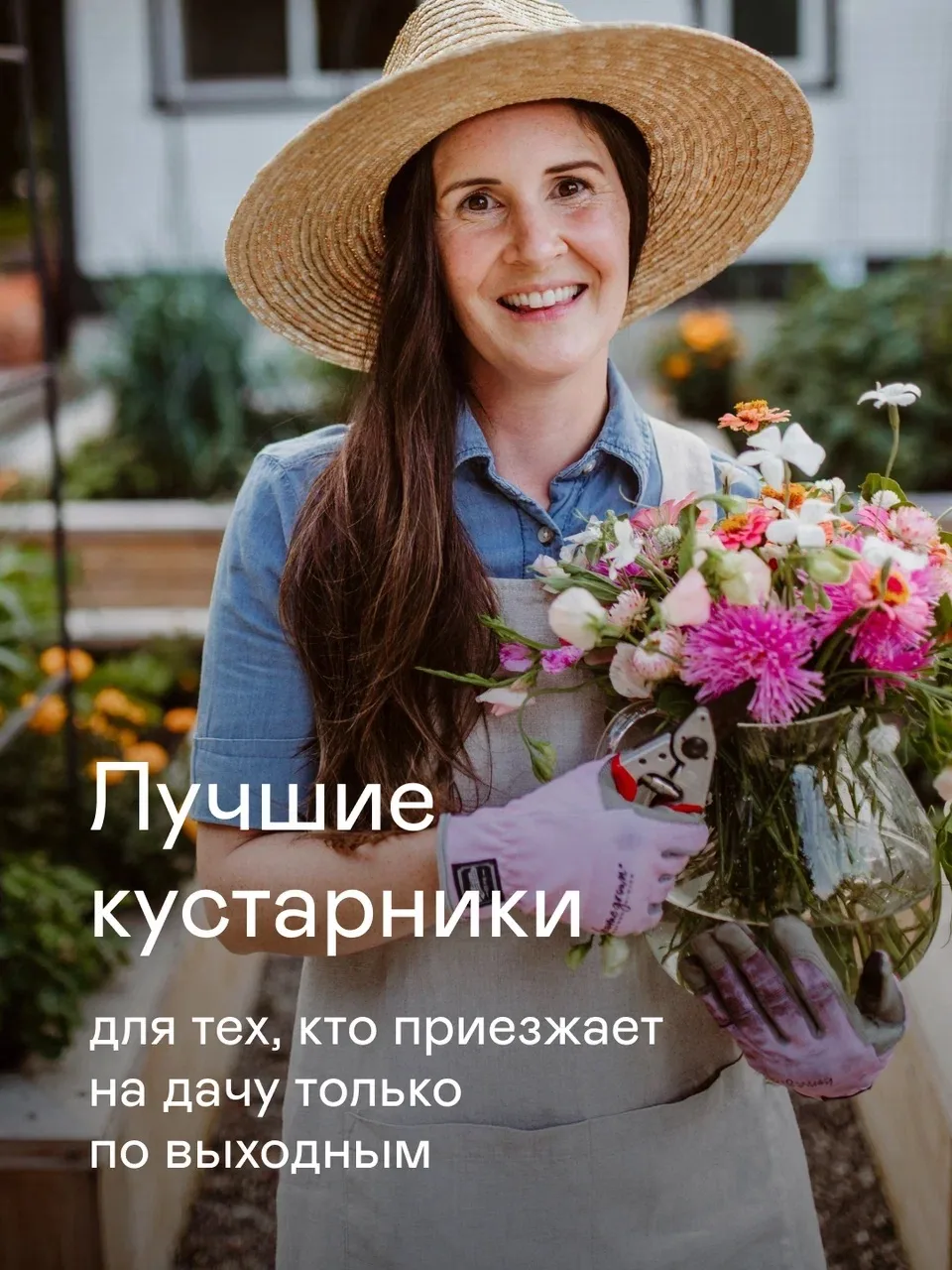 За какими кустарниками можно почти не ухаживать?

Собрали топ кустарников, которые выдерживают кратк