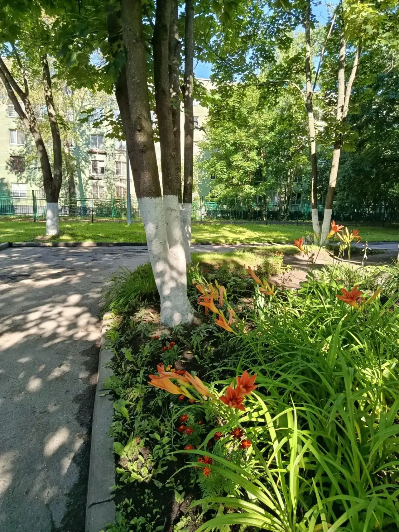 🌺Наш  ландшафтный дизайн (созданный и поддерживаемый  совместными усилиями работников и обучающихся