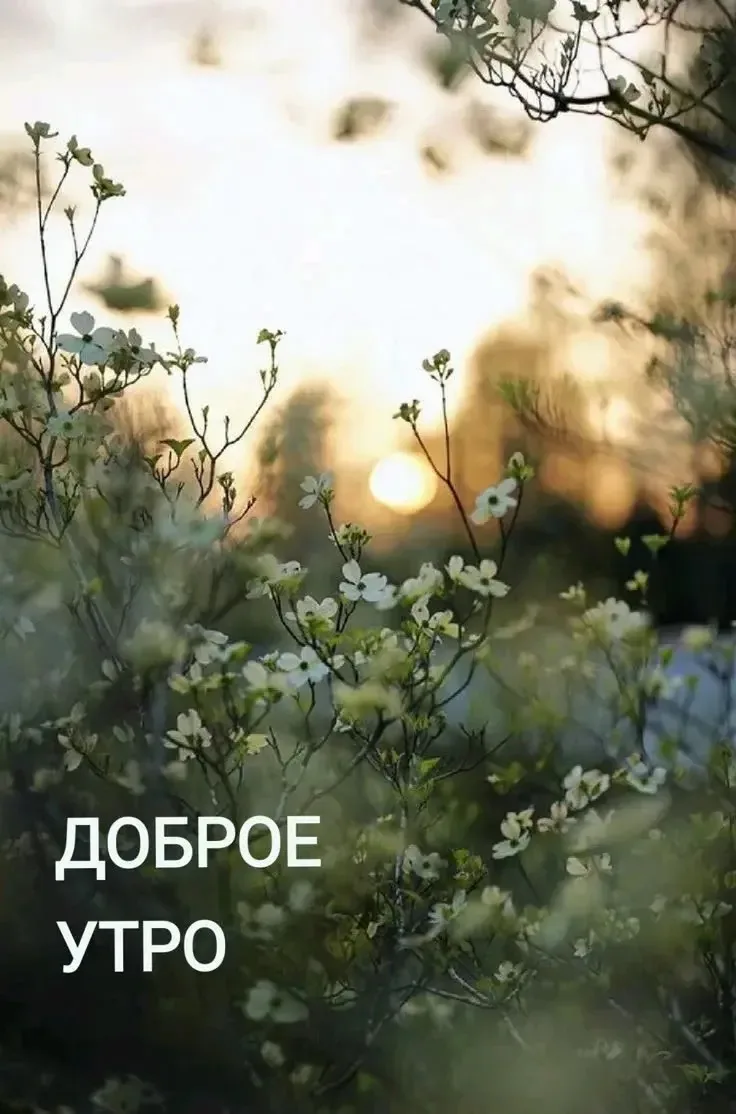 Доброе утро! ☀️
Начало нового дня — отличный повод для новых свершений и хорошего настроения.

Пусть