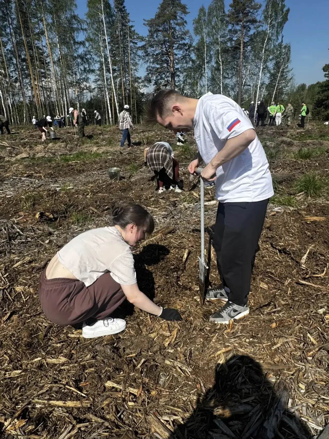 🌳🌳🌳Сотрудники прокуратуры Свердловской области приняли участие в международной акции «Сад памяти»   