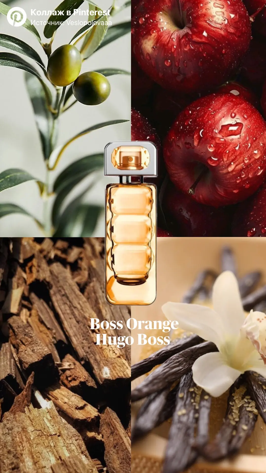 🧡🍊HUGO BOSS Orange Woman