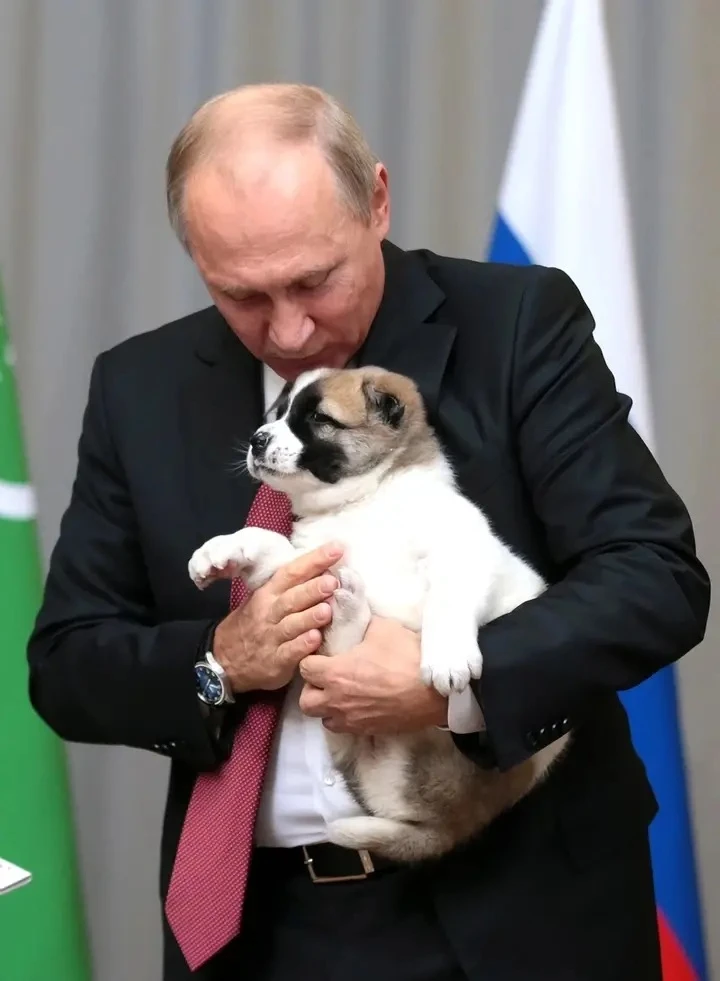 Шесть увлечений Владимира Путина