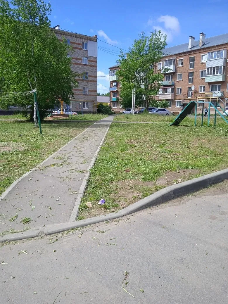 Покос придомовой территории: ул. Гагарина, д. 3 🤝