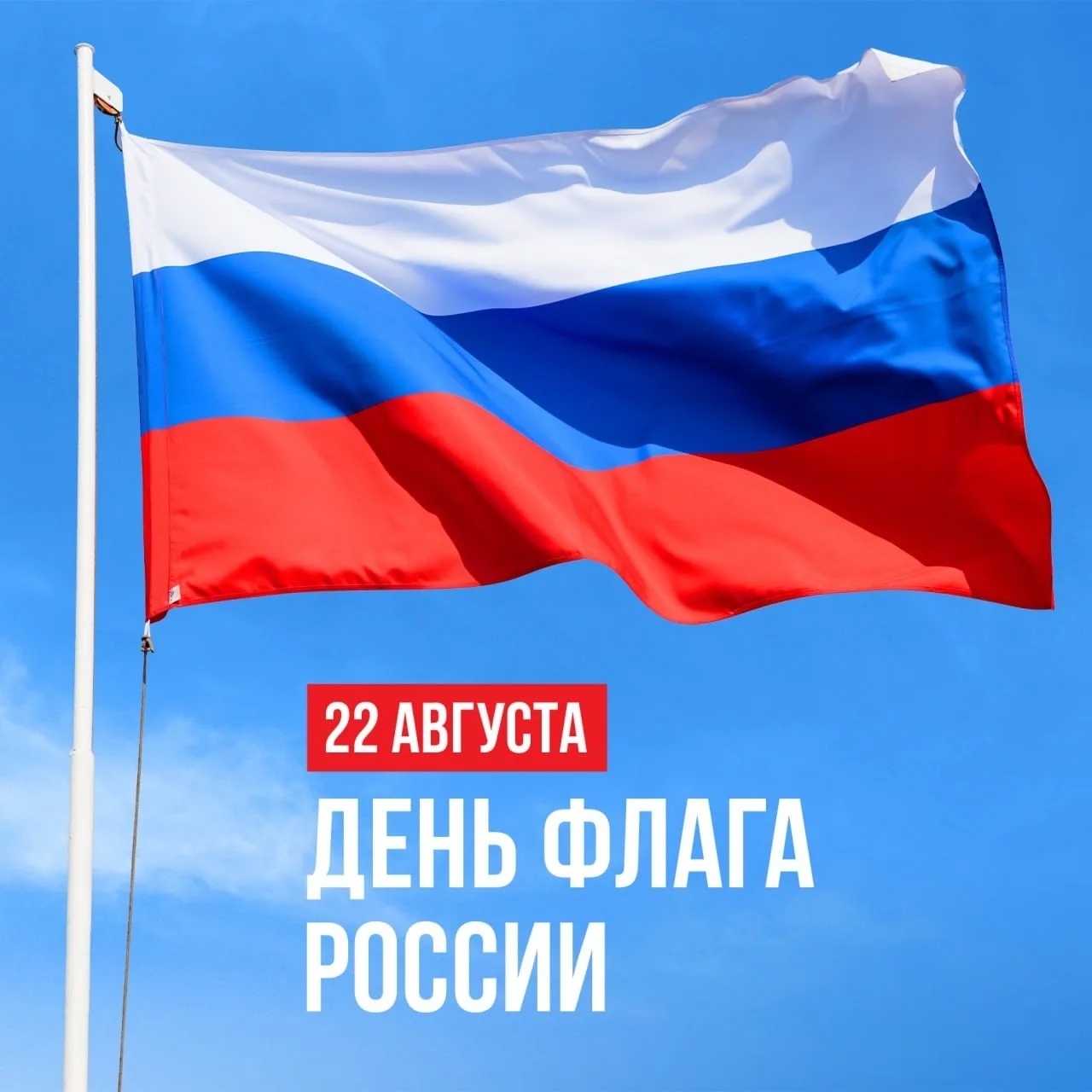 Трехцветный и гордый Отечества флаг 🇷🇺