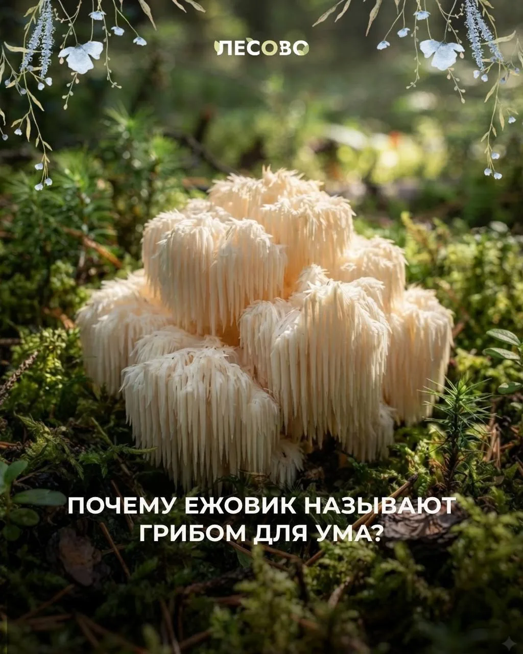 Вы замечали, что голова работает не в полную силу?😓