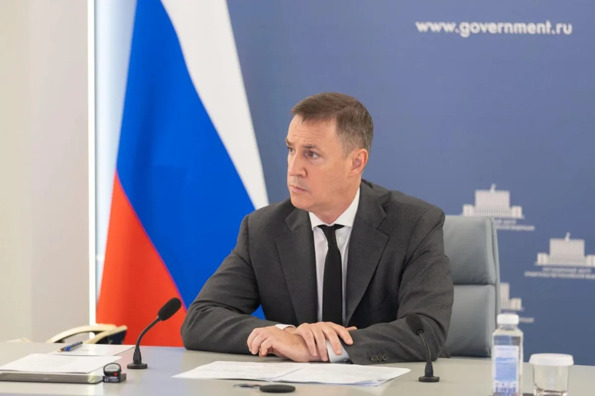 🐻 Правительство России примет меры из-за роста нападений медведей