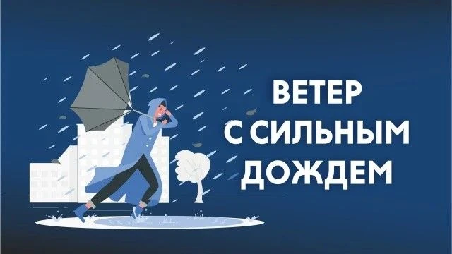 🍂  В ближайшие три дня в Кольском Заполярье усилятся ветер и дожди